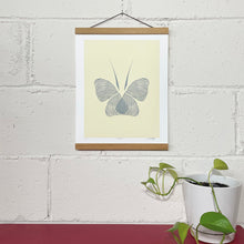 Lepidoptera, Limited Edition of 12, Unframed Screen Print, 11"x14"
