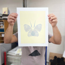 Lepidoptera, Limited Edition of 12, Unframed Screen Print, 11"x14"
