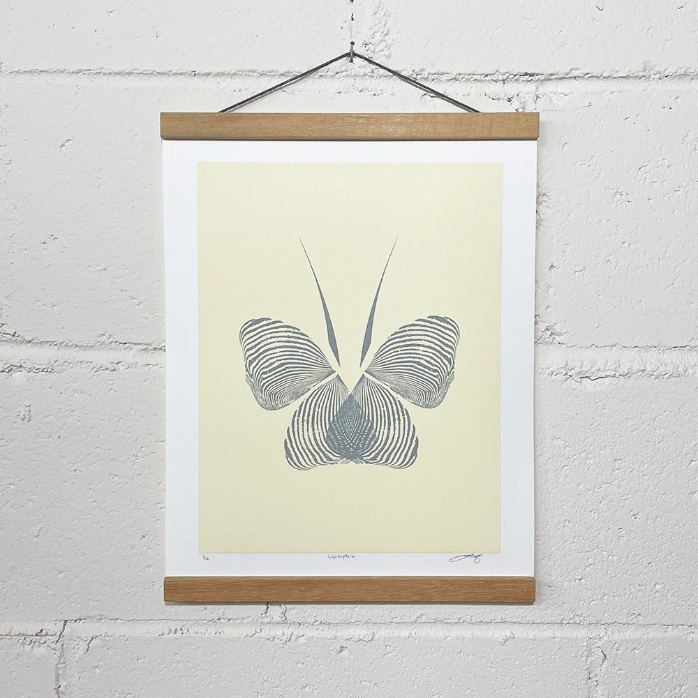 Lepidoptera, Limited Edition of 12, Unframed Screen Print, 11