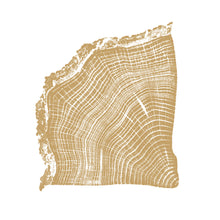 Oak Segment in Pantone 7562, 18"x18" unframed